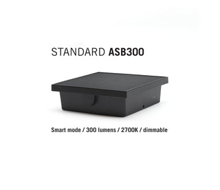 ASB300