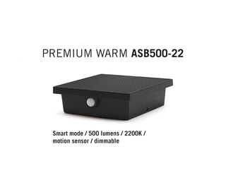 ASB500-22