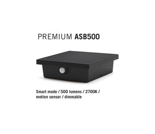ASB500