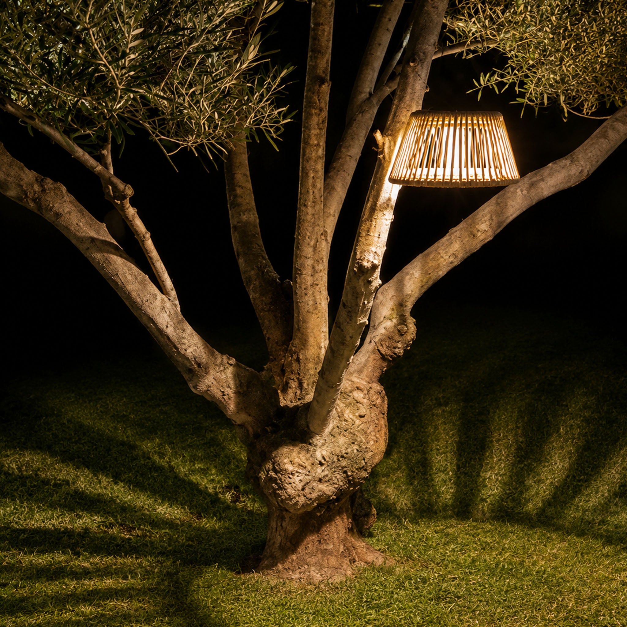 AURA Hanging Light