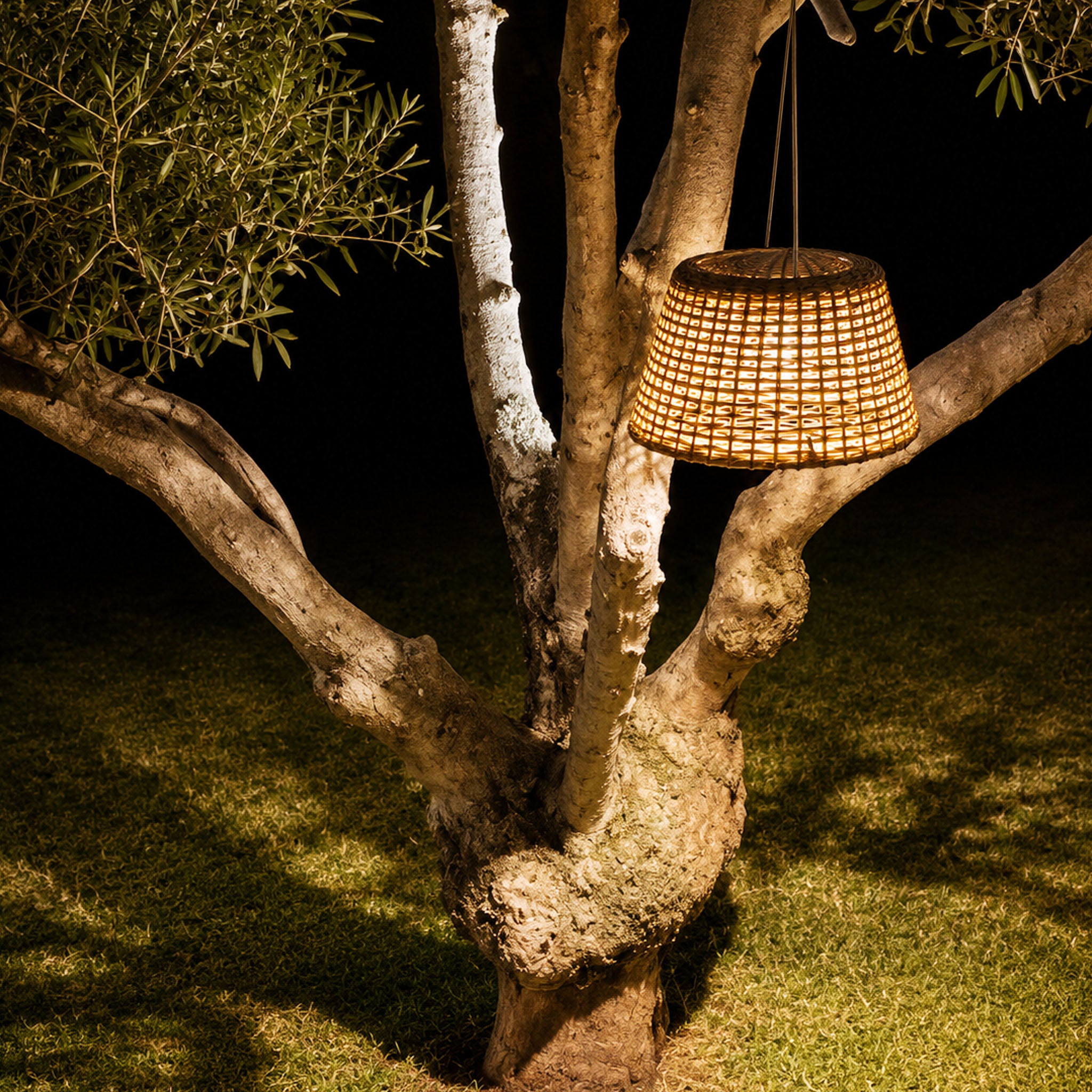 AURA Hanging Light