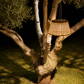 AURA Hanging Light