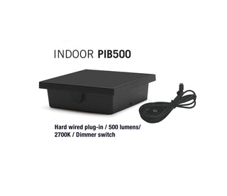 PIB500