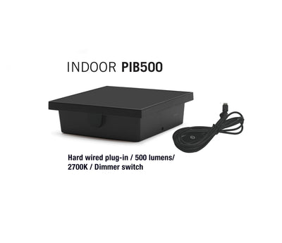 PIB500